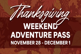 THANKSGIVING WEEKEND ADVENTURE PASS 